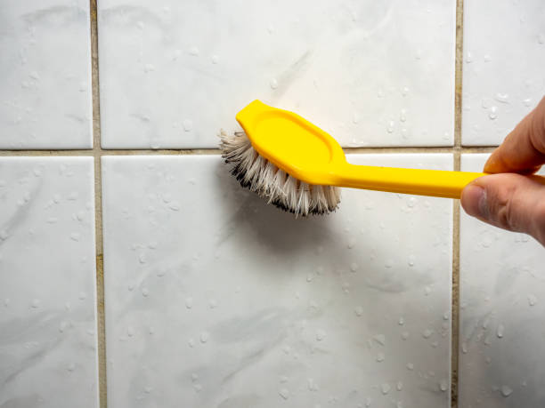Best Kitchen Mold Remediation in Craig Beach, OH